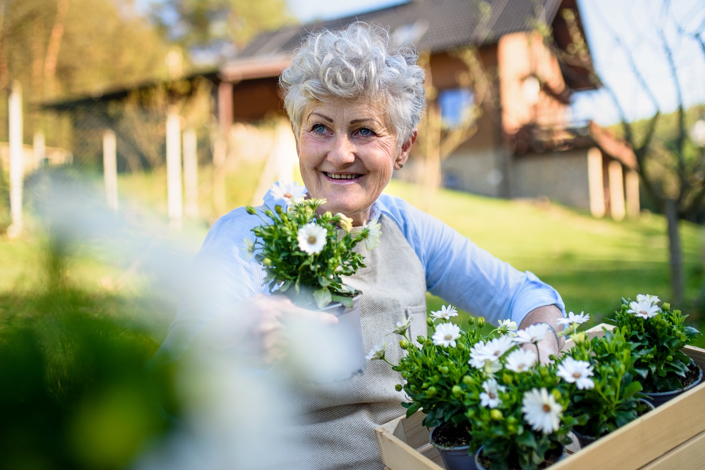 Steuerberatung für Gärtner Gartenbau